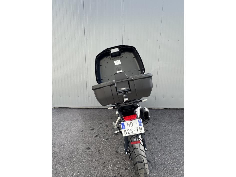 TRIUMPH Tiger 900 GT PRO