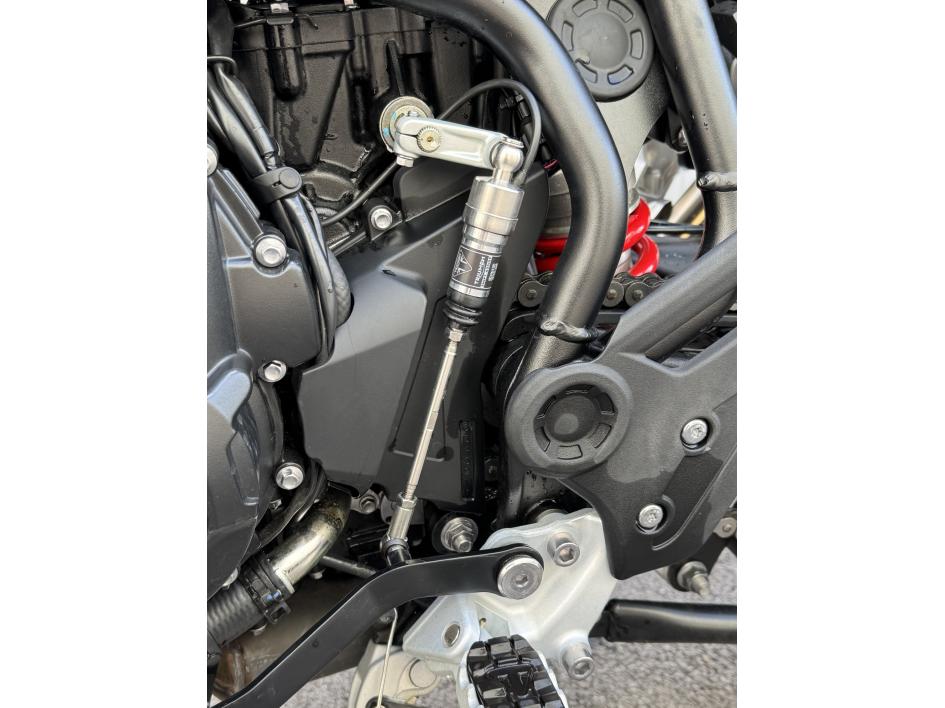 TRIUMPH Tiger 900 GT PRO