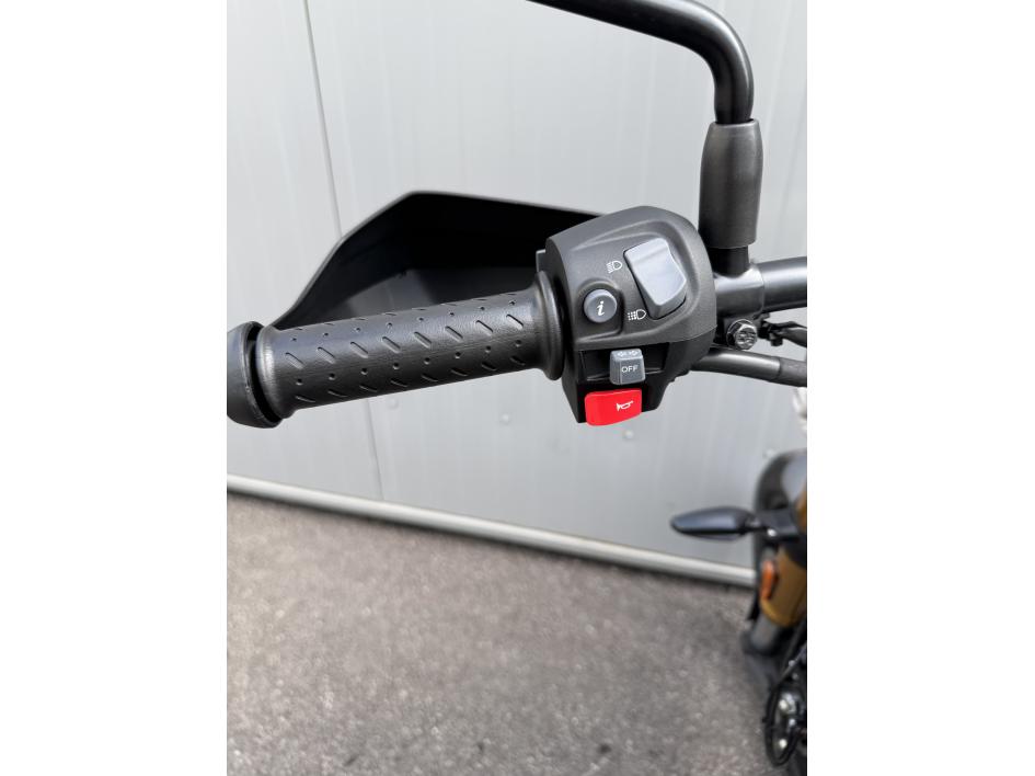 TRIUMPH Scrambler 400 X